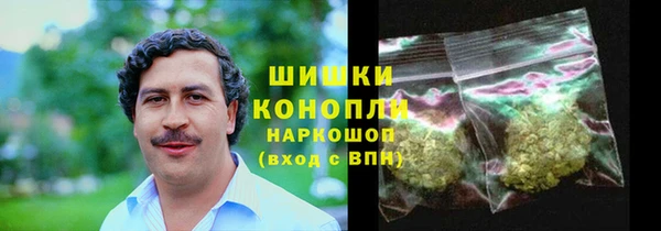 PSILOCYBIN Вязьма