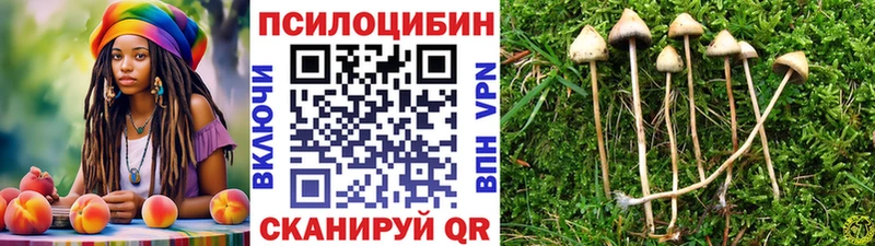 Галлюциногенные грибы Psilocybine cubensis  Дзержинский 