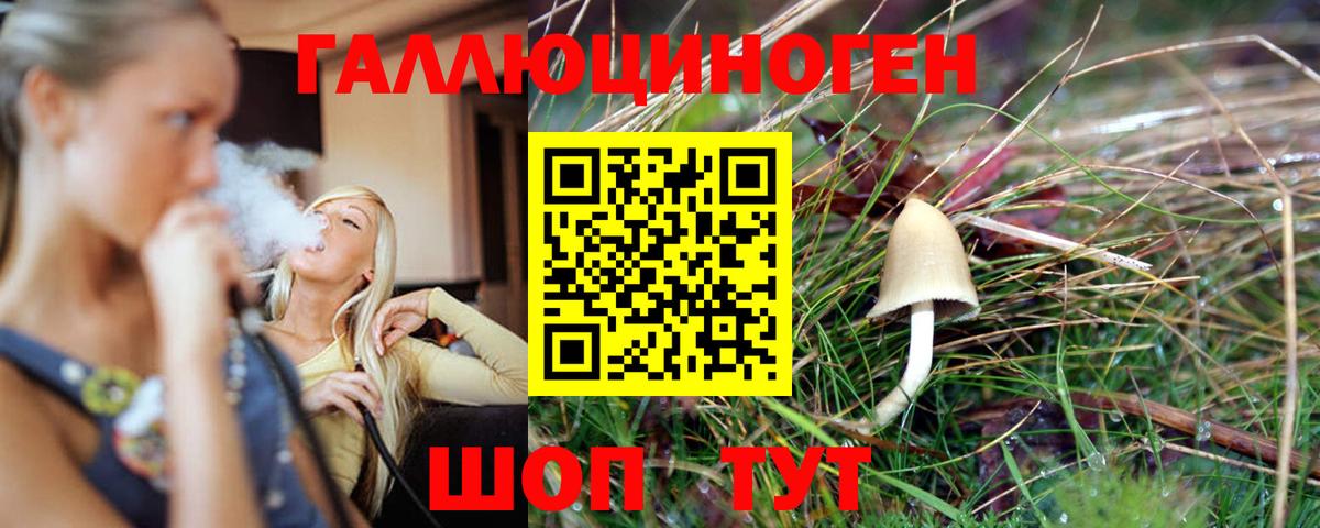 Дзержинский  Галлюциногенные грибы Cubensis  Вход с VPN 