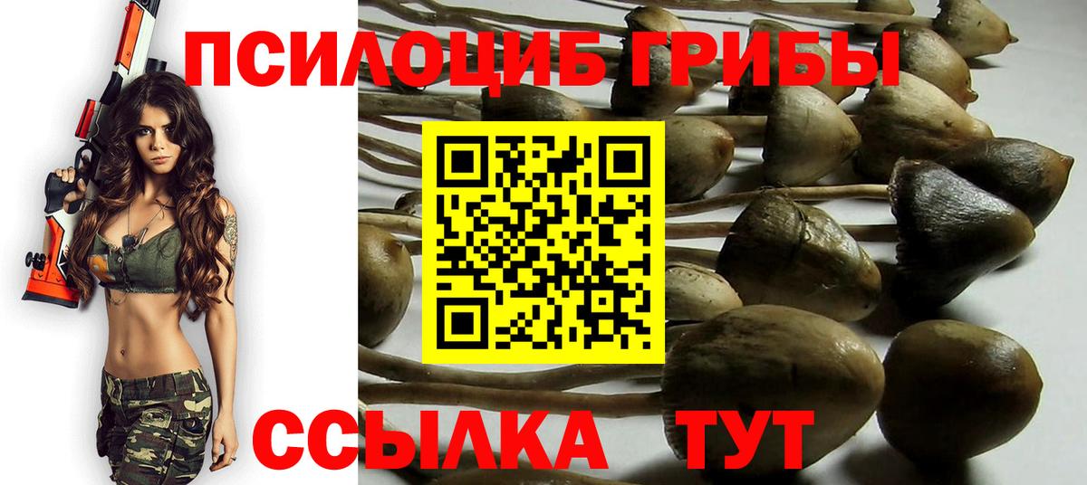 Псилоцибиновые грибы Magic Shrooms Дзержинский